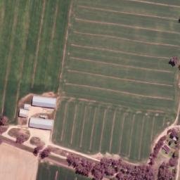 Satellite imagery of Trajere Public School, AU