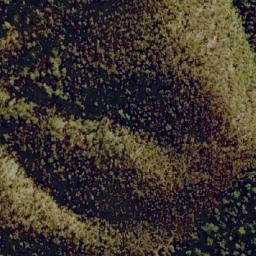 Satellite imagery of Mount Walker, AU