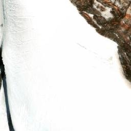 Satellite imagery of Nevado de los Piuquenes, CL