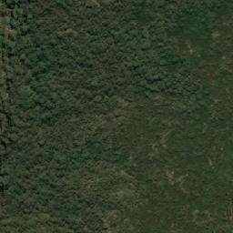 Satellite imagery of Alison Point, AU