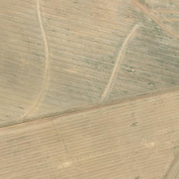 Satellite imagery of WATERVLEI, ZA