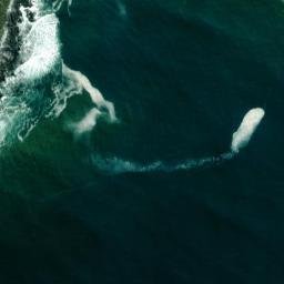 Satellite imagery of Bokpunt, ZA