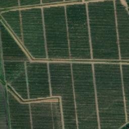 Satellite imagery of Mallarauco, CL