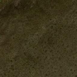 Satellite imagery of The Pups, AU