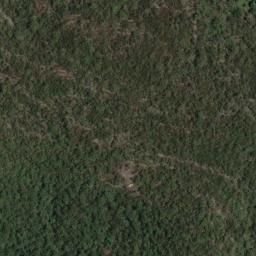 Satellite imagery of Shark Rock Point, AU
