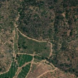 Satellite imagery of La Campana, CL