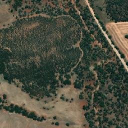 Satellite imagery of Silver Monarch of the West, AU