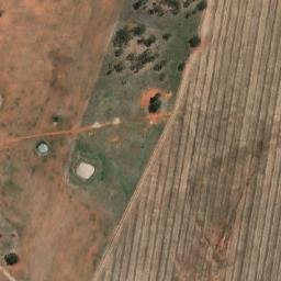 Satellite imagery of Wirrinya Public School, AU