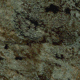 Satellite imagery of WITTEBERG, ZA