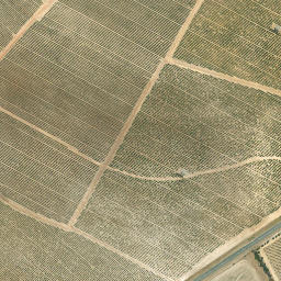 Satellite imagery of EENSAAMHEID, ZA