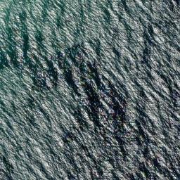 Satellite imagery of Deewhy Head, AU
