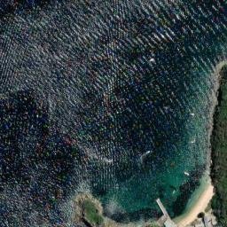 Satellite imagery of Little Manly Point, AU