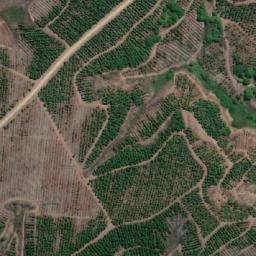 Satellite imagery of Pangal, CL