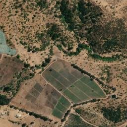 Satellite imagery of Álamo, CL