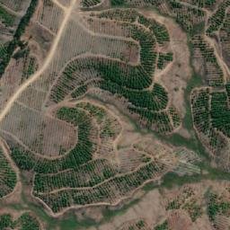 Satellite imagery of Pangal, CL