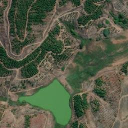 Satellite imagery of Pangal, CL