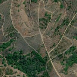 Satellite imagery of Peumo, CL