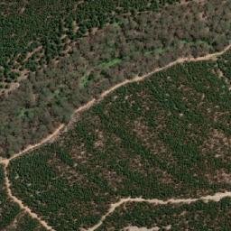 Satellite imagery of Bastard Point, AU