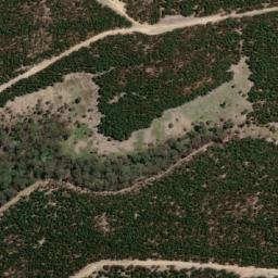Satellite imagery of Bastard Point, AU