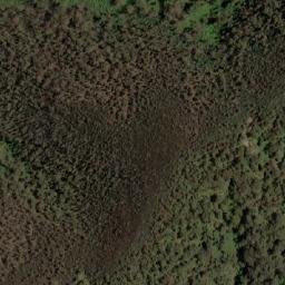 Satellite imagery of Mount Yellow Dog, AU