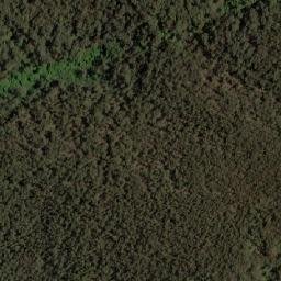 Satellite imagery of Mount Yellow Dog, AU
