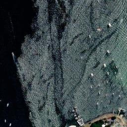 Satellite imagery of Woollahra Point, AU