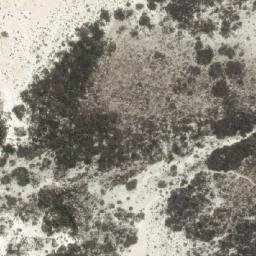 Satellite imagery of Tagon Point, AU