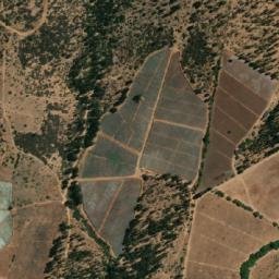 Satellite imagery of Sauce, CL