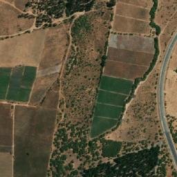 Satellite imagery of Sauce, CL