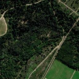 Satellite imagery of TIMBERLEA, ZA