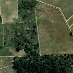 Satellite imagery of KANONKOP, ZA