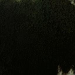 Satellite imagery of Mount Danae, AU