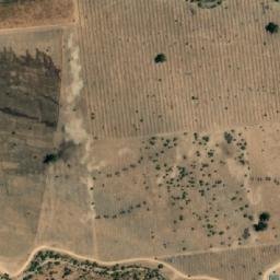 Satellite imagery of Cerro La Palma, CL