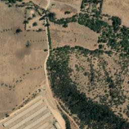 Satellite imagery of Cerro La Palma, CL