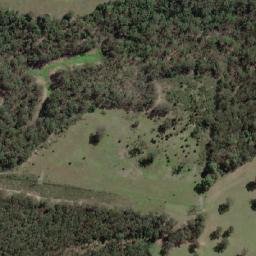Satellite imagery of Forest Hill, AU