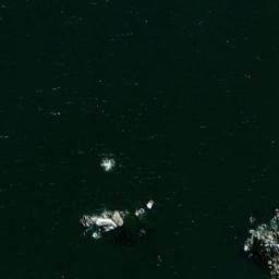 Satellite imagery of Grove Buttress, ZA