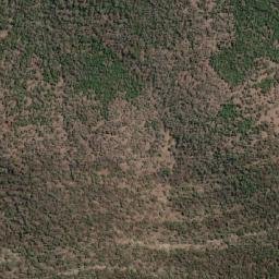 Satellite imagery of Weddin Mountain, AU