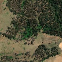 Satellite imagery of Bald Mountain, AU