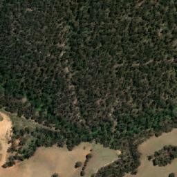 Satellite imagery of Bald Mountain, AU