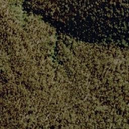 Satellite imagery of Trailers Mountain, AU