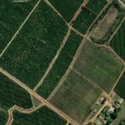 Satellite imagery of VILJOEN, ZA