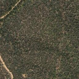Satellite imagery of Mount Costigan, AU