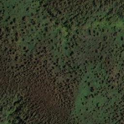 Satellite imagery of Brumby Mountain, AU