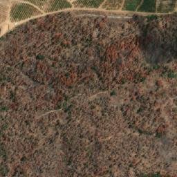 Satellite imagery of Loma Pelada, CL