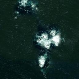 Satellite imagery of Duikerpunt, ZA