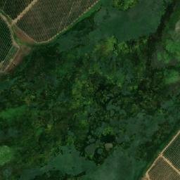Satellite imagery of NUWE TOL, ZA
