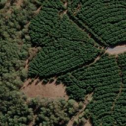 Satellite imagery of Cat Hill, AU