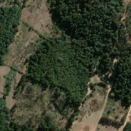 Satellite imagery of Cerro Temo, CL