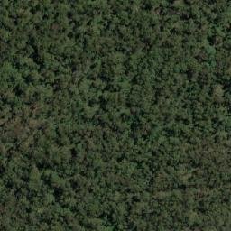 Satellite imagery of Burragorang Peak, AU
