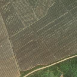 Satellite imagery of Lagartos, CL